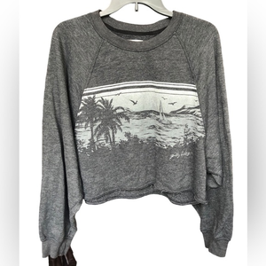 HOLLISTER Gilly Hicks Grey Crop Top Sz M Super Cozy & Soft Cute Relaxed‎ Fit